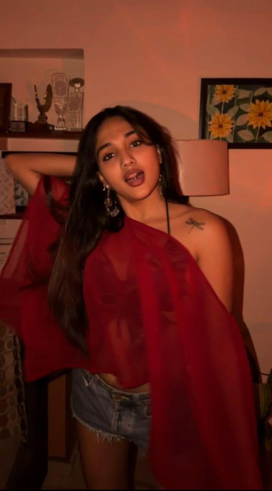 Laila Coverup